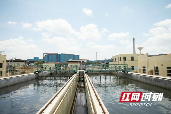 华菱集团：锦鲤当起“节水官”三大钢厂节水各出妙招