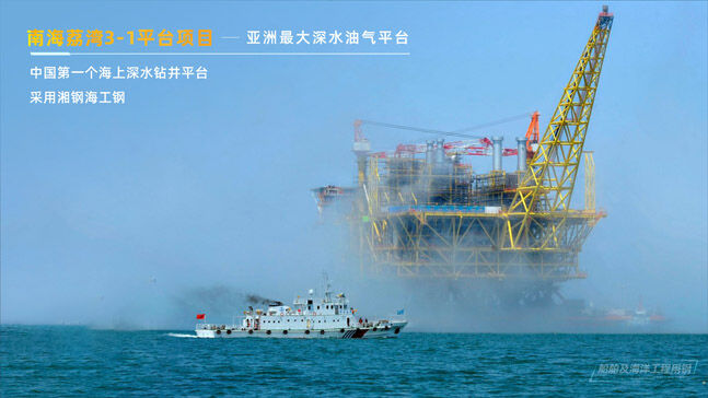 南海荔湾3-1平台项目